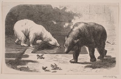 Beren in Jardin des Plantes door J.C. Nielsen