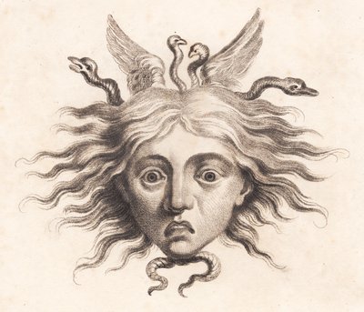 Medusahoofd door J.F. Clemens