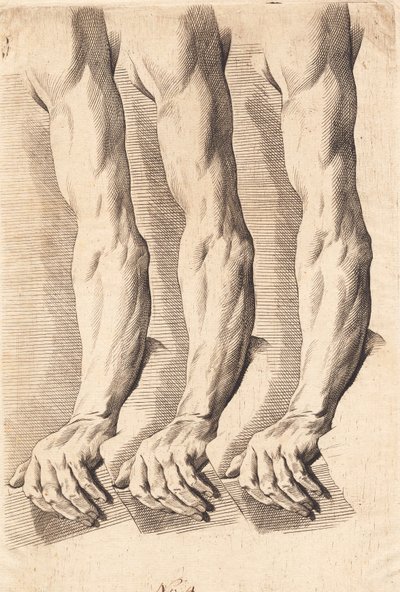 Studieblad van armen door J.F. Clemens
