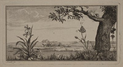 Uitzicht over een vlak landschap, op de voorgrond plant met insecten en boom met slakken door J.F. Clemens