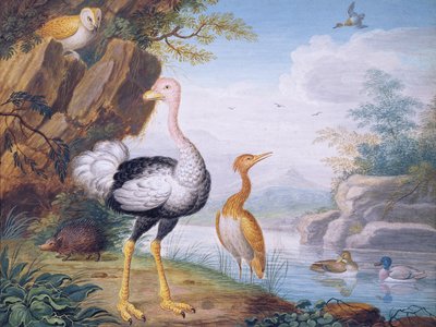Exotische vogels en een uil aan de oevers van een rivier door J.F. Hefele