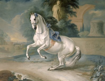 De witte hengst 