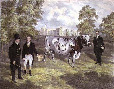 Sir Charles Morgan presenteert Koning Willem IV een Shorthorn Stier bij Tredegar Castle, Monmouth, gegraveerd door M. Gauci door J.H. (after) Carter