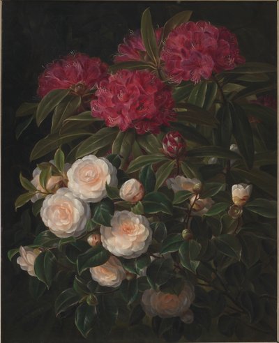 Kamperfoelie en rododendron door J.L. Jensen