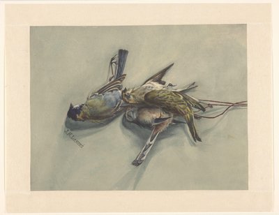 Stilleven met drie dode vogels door J.N. Landré (signed by artist)