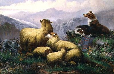 Herdershonden en schapen in de Schotse Hooglanden door J.W. Morris