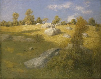 Hoogland Weiland door J. Alden Weir