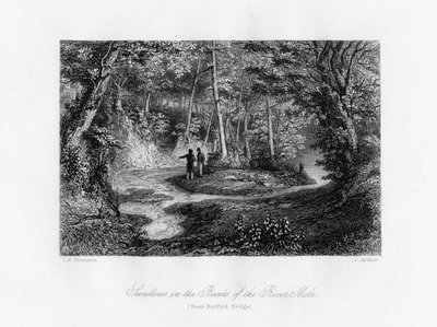 Zwaluwen in de oevers van de rivier Mole, Surrey door J. Archer