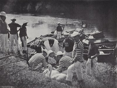 Zwanen op de Theems, Nicking of Marking door J. Benjamin Stone