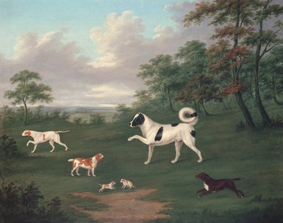 Sporthonden in een landschap door J. Francis Sartorius