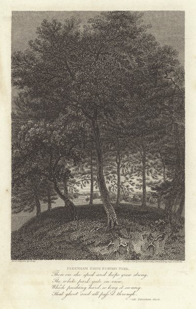 Robert Bloomfield, dichter: Fakenham vanuit Euston Park door J. Greig