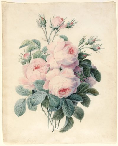 Tak van Centifolia rozen door J. Herzog