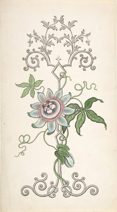 Ontwerp voor paneeldecoratie gecentreerd op een passiebloem door J Hulme