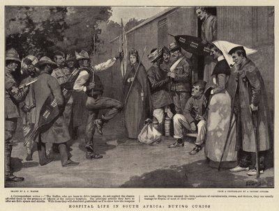 Ziekenhuisleven in Zuid-Afrika, curiosa kopen door J. J. Waugh