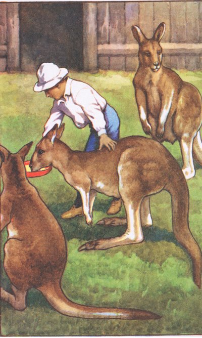 Australische jongen, uit MacMillan schoolposters, ca. 1950-60s door J. Macfarlane