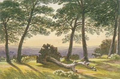 Hampstead Heath, Londen door J Powell