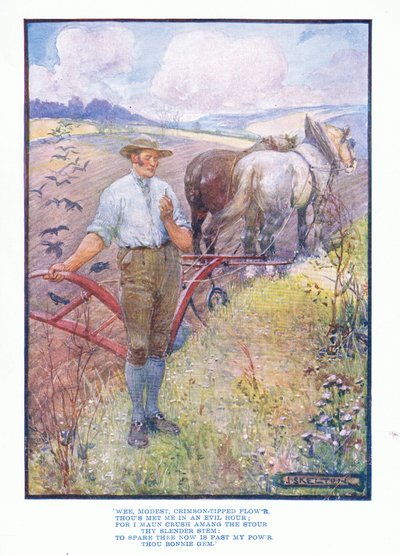 Wee bescheiden, karmozijnrode bloem, uit Engelse Literatuur uitgegeven door T C & EC Jack, ca. 1920 door J. R. Skelton