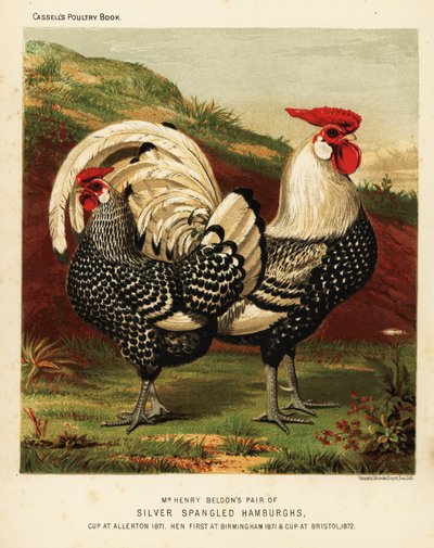 Zilvergespikkelde Hamburgh haan en hen door J. W. (after) Ludlow