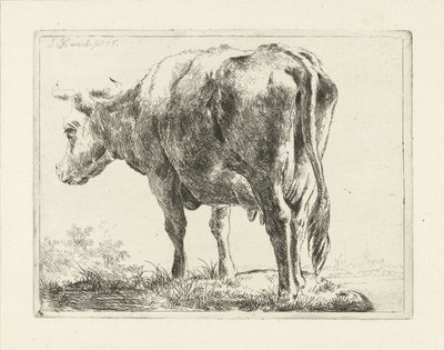 Staande koe door Jabes Heenck