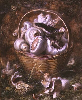 Paddenstoelen door Jabez Bligh
