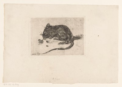 Muis door Jac van Looij