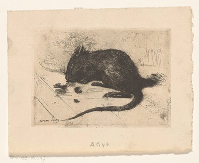 Muis door Jac van Looij