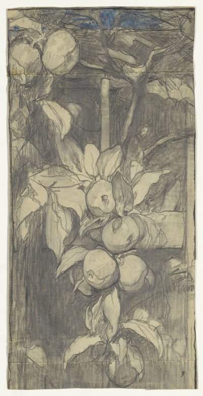 Tros Keizer-Alexander-appels door Jac van Looij