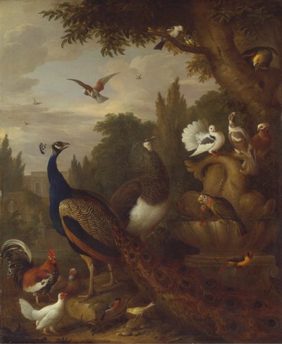 Pauw, Pauwhen, Papegaaien, Kanarie en Andere Vogels in een Park door Jacob Bogdani