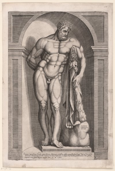 Hercules Farnese door Jacob Bos