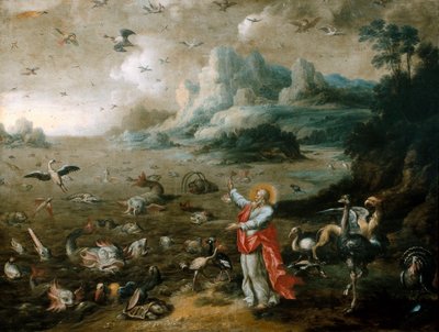 De schepping: creatie van de vogels en vissen door Jacob Bouttats