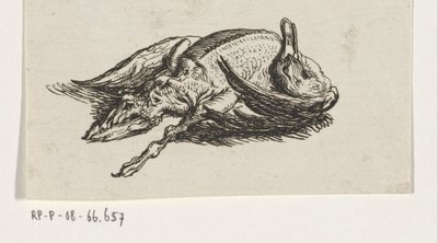 Dode eend door Jacob Elias van Varelen
