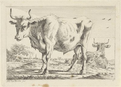 Staande en liggende os door Jacob Elias van Varelen