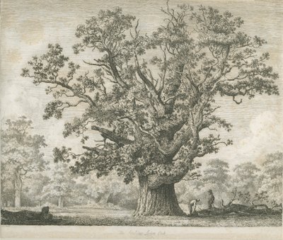 Needwood - Swilcar Eik door Jacob George Strutt