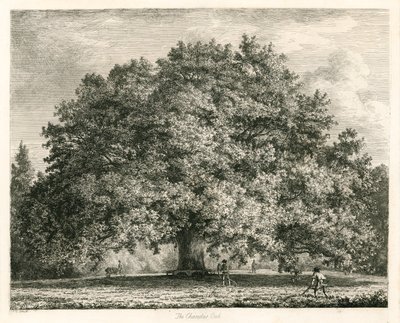 De Chandos Eik, Michendon House, Southgate, Londen door Jacob George Strutt