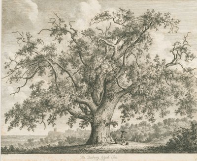 Tutbury - "Wych Elm": ets, nd [ca. 1820] door Jacob George Strutt