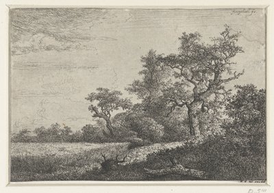 Het korenveld door Jacob van Ruisdael