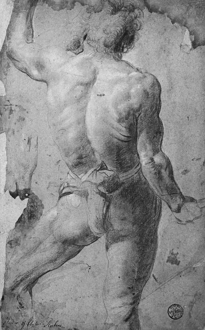 Staand mannelijk naakt door Jacob Jordaens