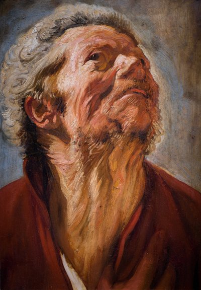 Hoofd van de studie door Jacob Jordaens
