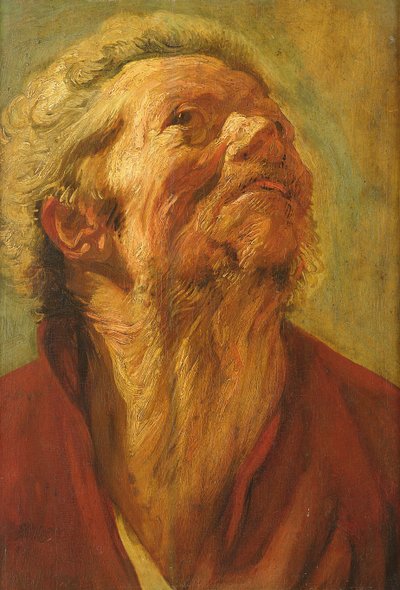 Studie van een hoofd, of hoofd van een apostel door Jacob Jordaens