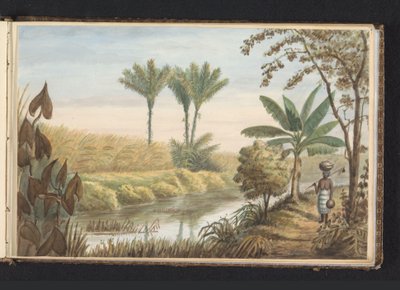Gezicht op veld met suikerriet plantage Visserszorg door Jacob Marius Adriaan Martini van Geffen