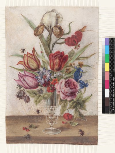 Venetiaans glas met tulpen, rozen, anemonen, gentiaan, kievitsbloem, iris varigat, lilium chalcedonicum, meikever, meivlieg, lelietje-van-dalen en primula door Jacob Marrel