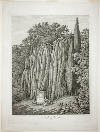 Treurwilg door Jacob Philipp Hackert