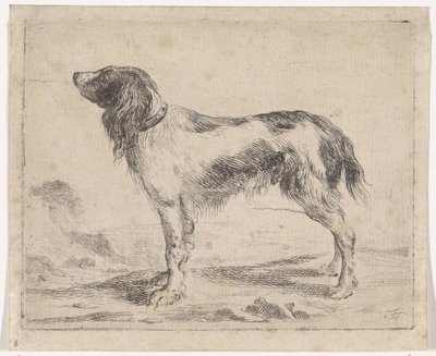 Staande hond door Jacob Toorenvliet