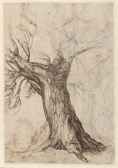 Kastanjeboom met enkele bomen eromheen door Jacob de Gheyn (II)