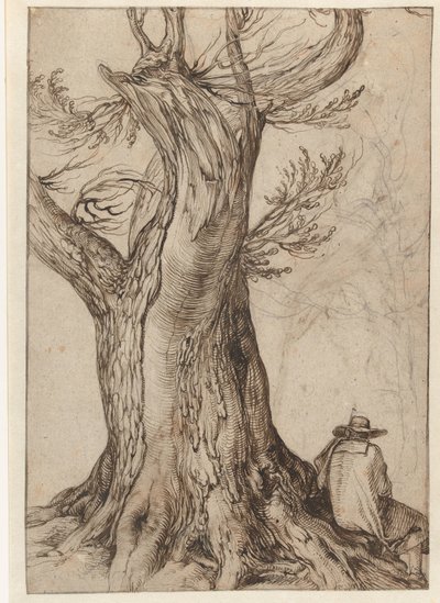 Kastanjeboom met man zittend op de wortels door Jacob de Gheyn (II)