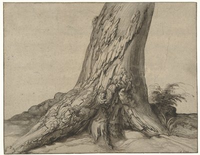 Studie van de stam van een boom met wortels door Jacob de Gheyn (II)
