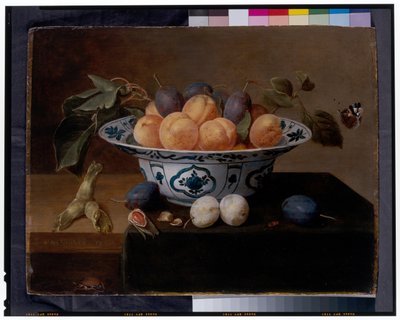 Stilleven van abrikozen en pruimen in een Wan Li-schaal, met kevers en een vlinder op een richel door Jacob van Hulsdonck