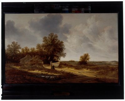 Aan de kant van de weg door Jacob van Mosscher