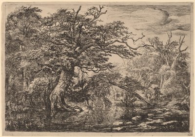 Een Bosmoeras met Reizigers op een Oever (De Reizigers) door Jacob van Ruisdael