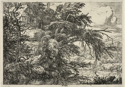 Huisje op de top van een heuvel door Jacob van Ruisdael